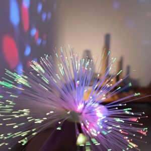 Els ambients d'aprenentatge