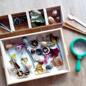 Peces soltes a l’aula: idees creatives per fomentar un aprenentatge actiu